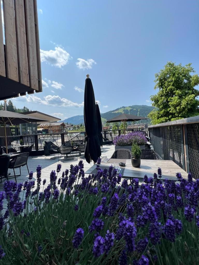 Almmonte Praeclarum Suites Design Hotel Wagrain Dış mekan fotoğraf